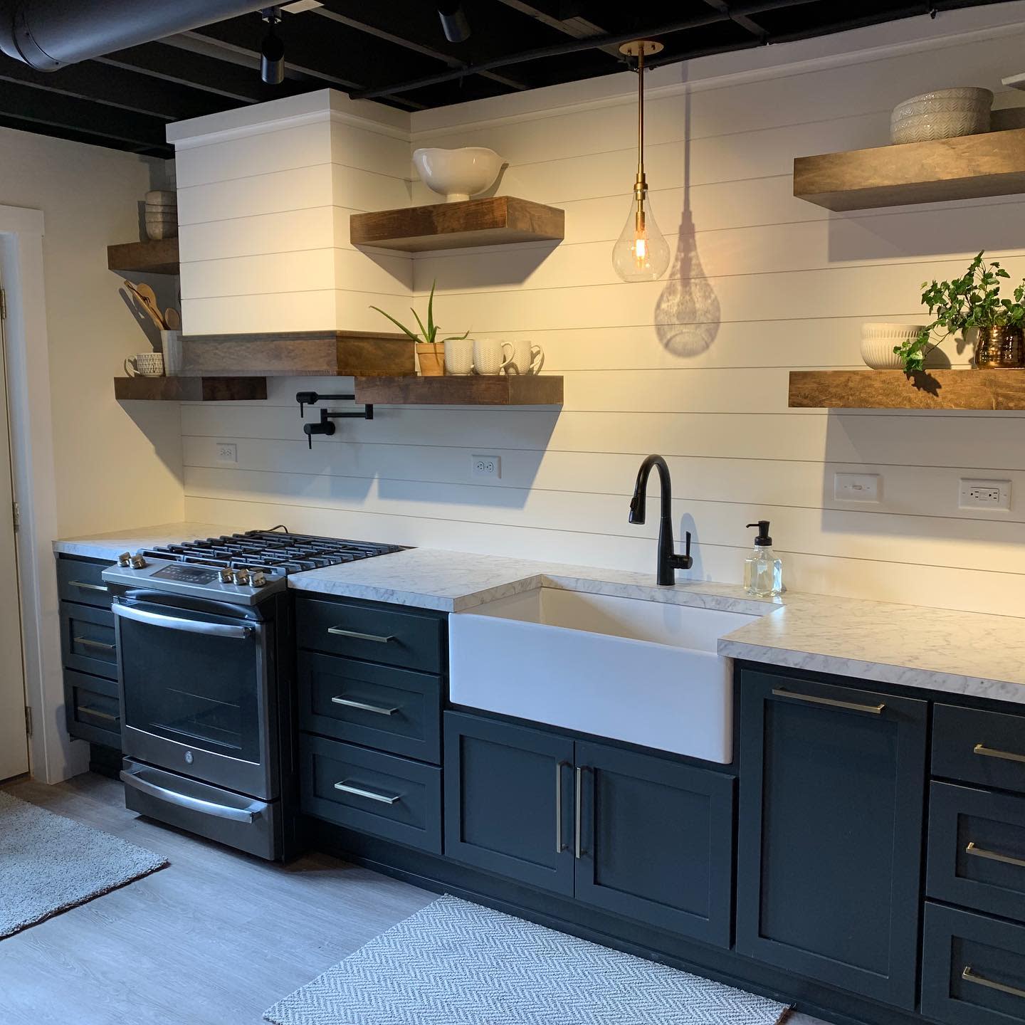 kitchen with plants