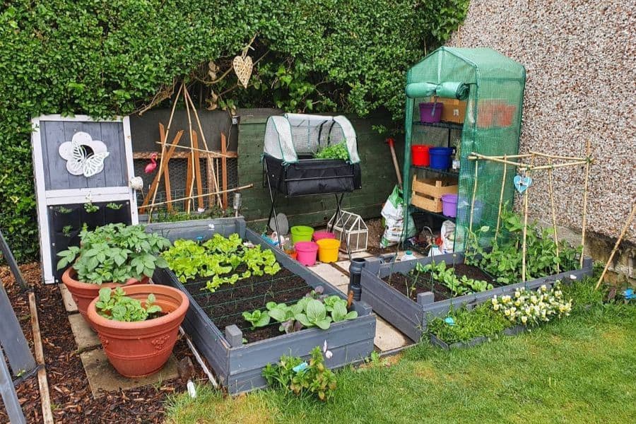 80 Vegetable Garden Ideas